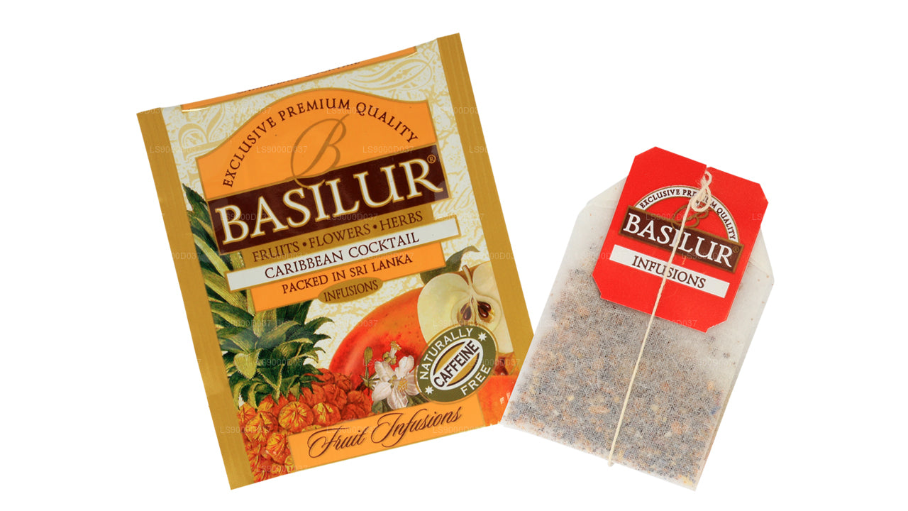 Basilur Teebuch „Fruit Infusions – Fruity Delight“ (57,6g) Caddy