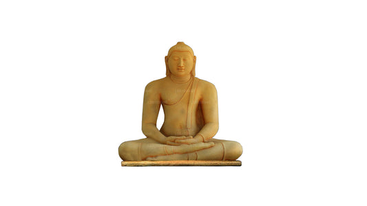 NHRC Samadhi-Buddha-Statue – Watadageya