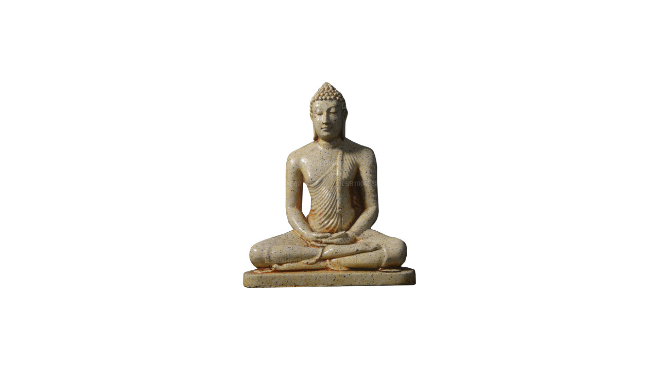 NHRC Samadhi-Statue (modern) – Colombo