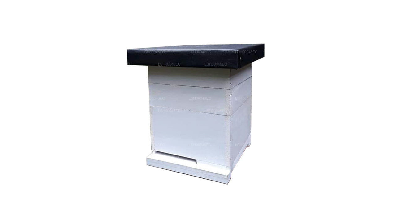 Lakpura Bienenkasten, 8 Rahmen, Standard-Bienenkasten aus Holz in bester Qualität mit allen Teilen