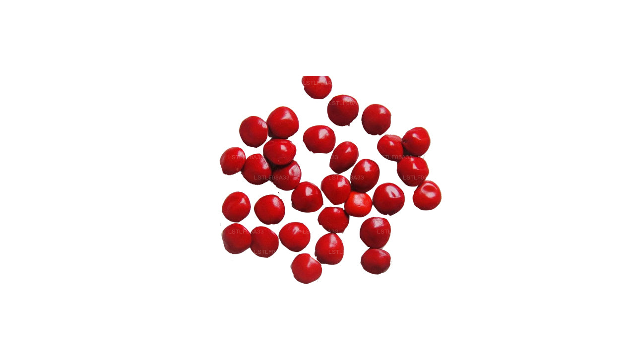 Lakpura Madatiya Seeds (rote Samen, dekorative Samen) 250 Samen