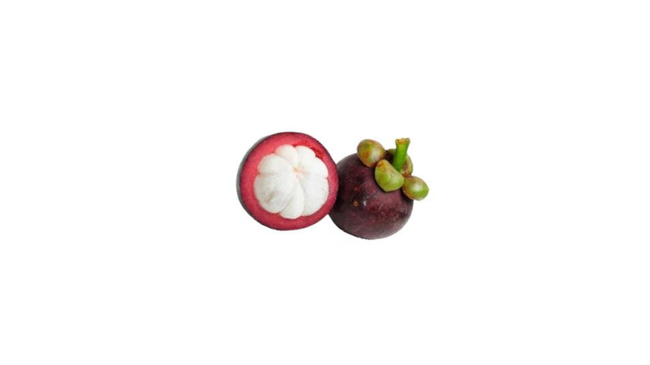 Mangostan (මැංගුස් බද්ධ) Fruchtpflanze