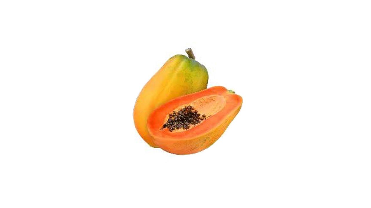 Red Lady Papaya (රෙඩ් ලේඩි ගස්ලබු) Obstpflanze