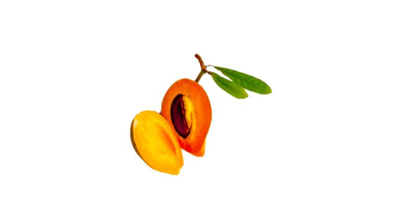 Sapote (ලාවුලු බද්ධ) Obstpflanze