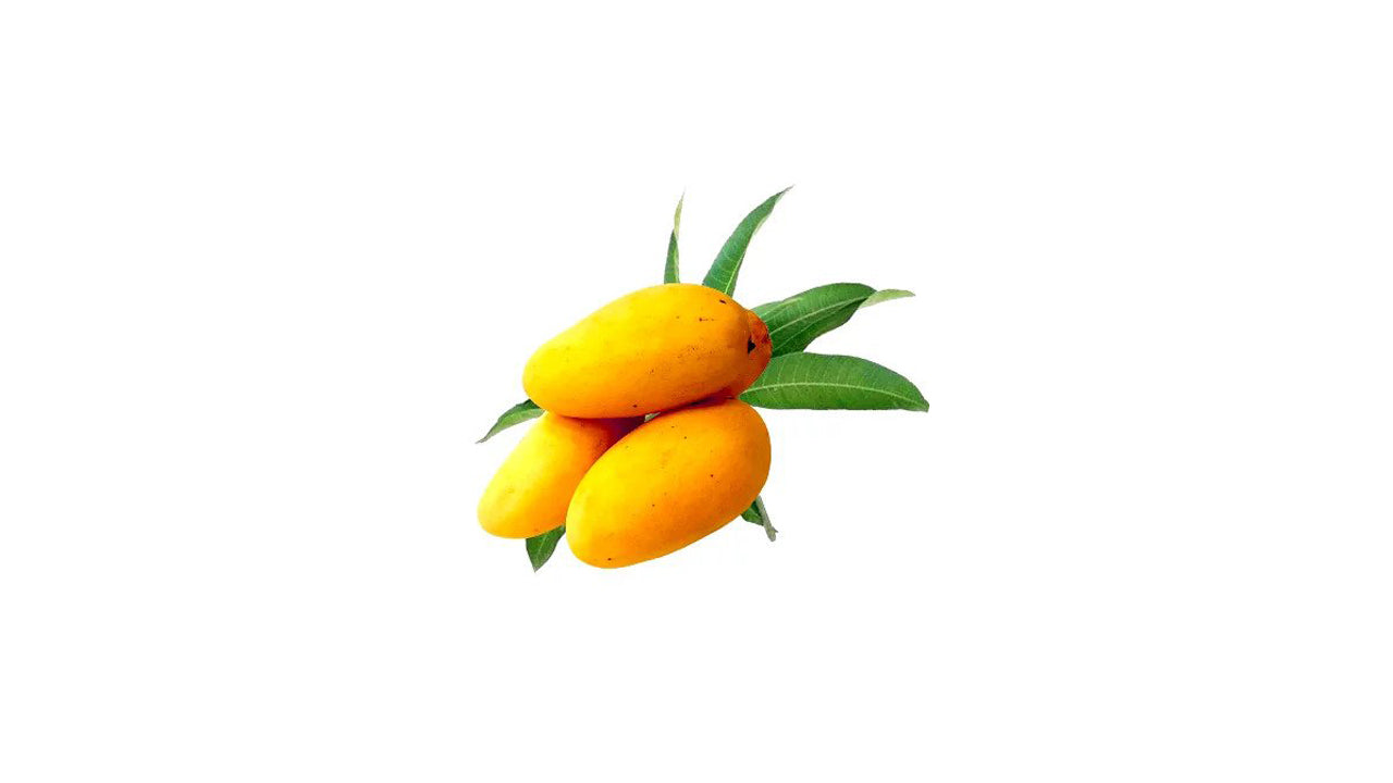 Sonnenblumen-Mango (සන්ෆ්ලවර් අඹ) Obstpflanze