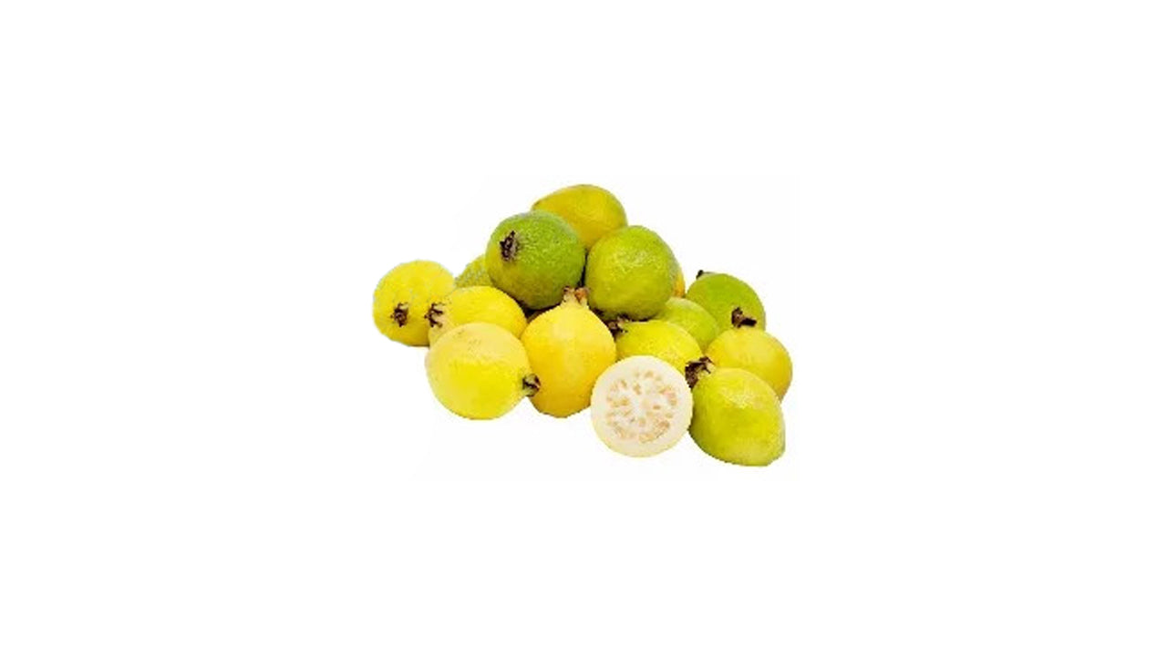 Gelbe chinesische Guave (කහ චීන පේර ලේයර්) Obstpflanze